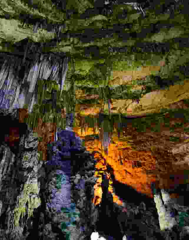 Featured Image Featured Image